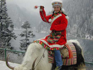 用藏饰征服欧洲的女留学生赵雪(图片来源：资料图)